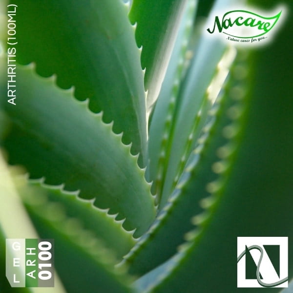 Arthritis (100ml) Arthritis (100ml)