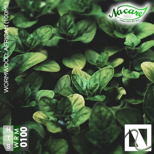 Wormwood: African (100ml) Wormwood: African (100ml)