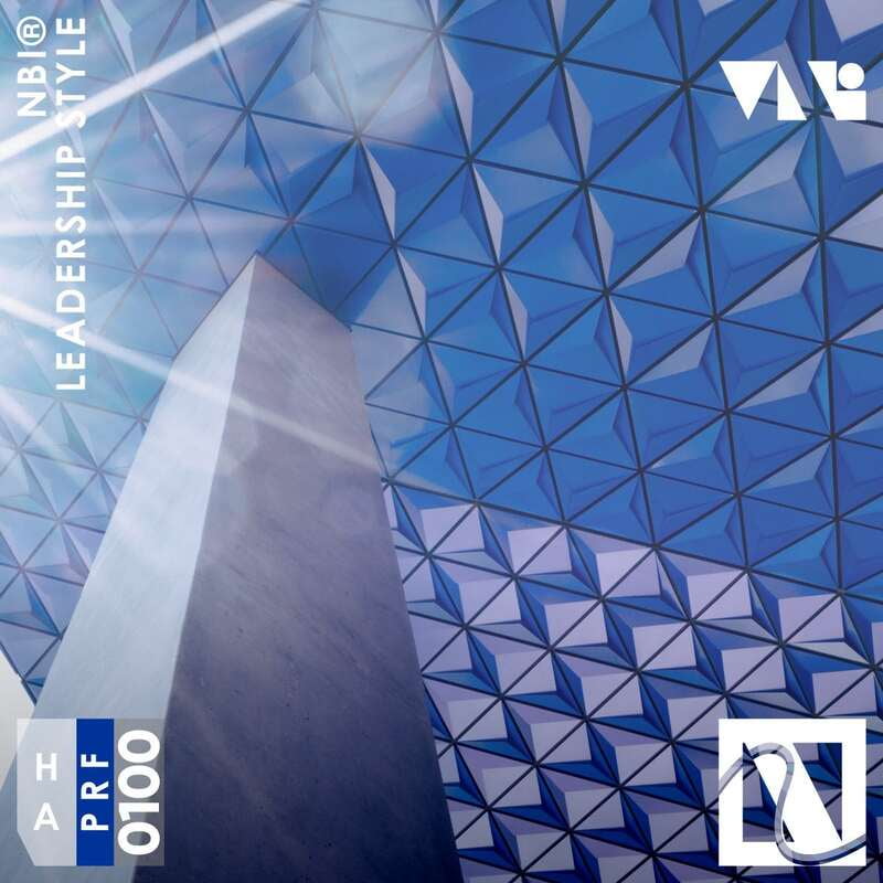 NBI® Leadership Style NBI® Leadership Style